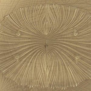 Mikasa Large Crystal Seascape Oval Platter